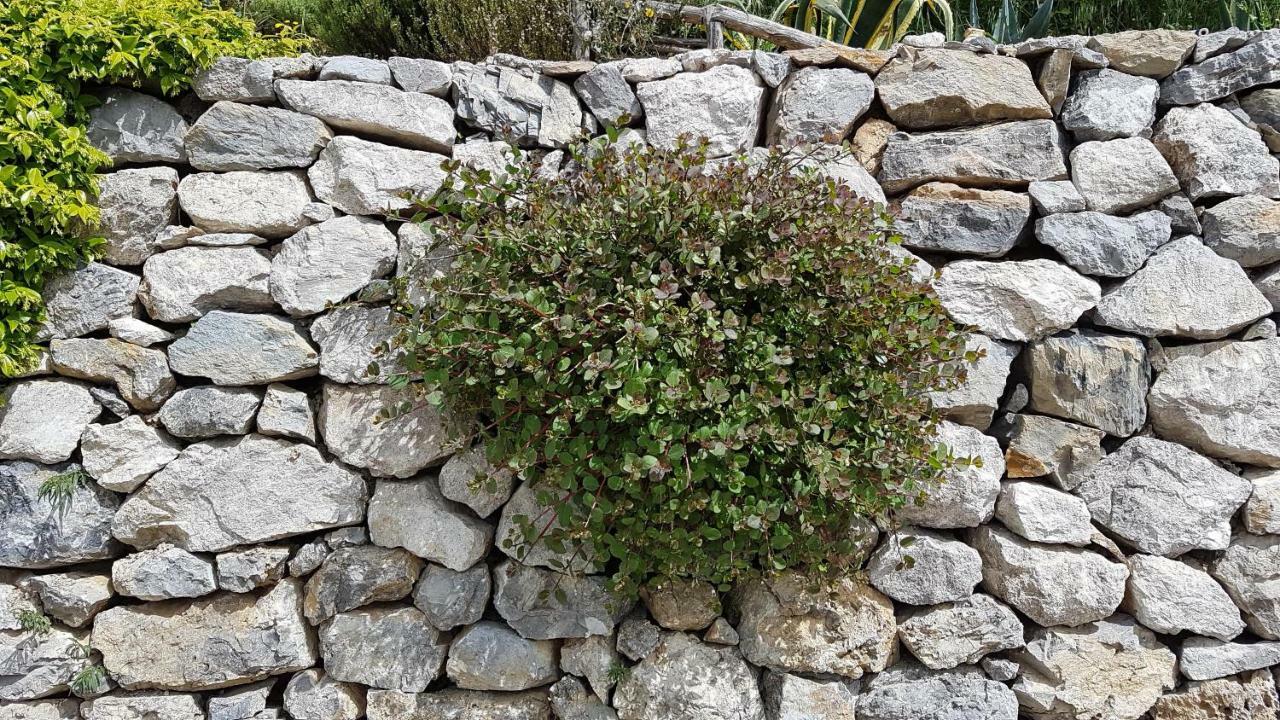 Ancient Estate "Il Trignano" Villa Vietri Eksteriør bilde