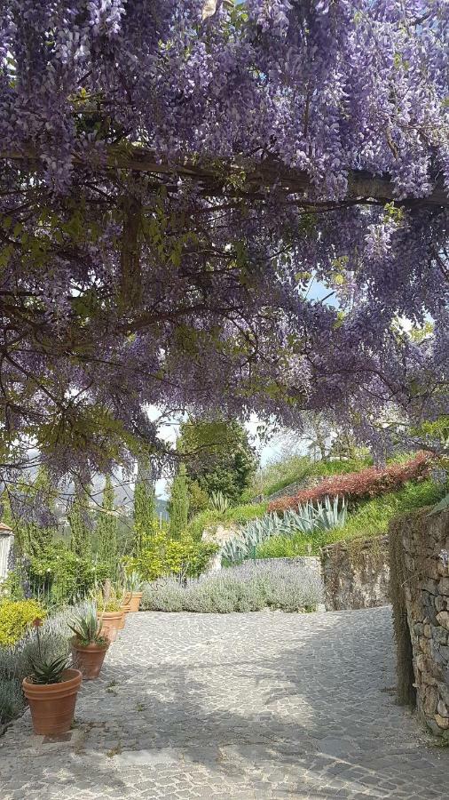 Ancient Estate "Il Trignano" Villa Vietri Eksteriør bilde