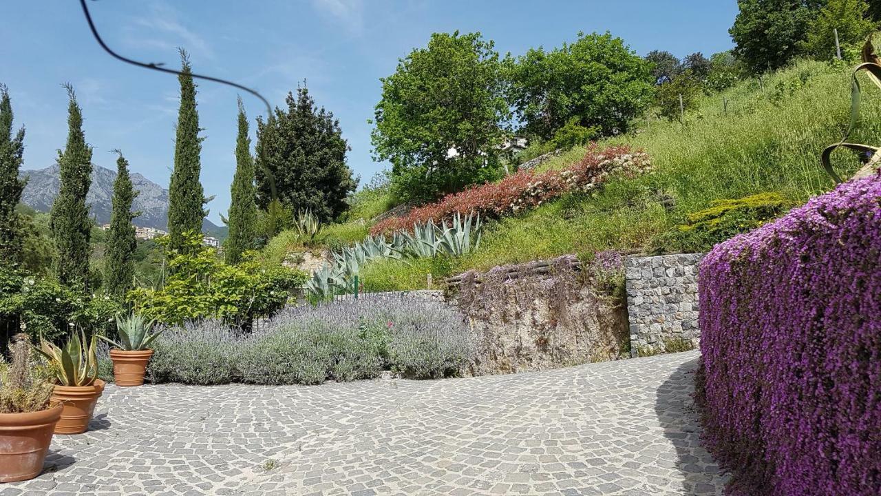 Ancient Estate "Il Trignano" Villa Vietri Eksteriør bilde