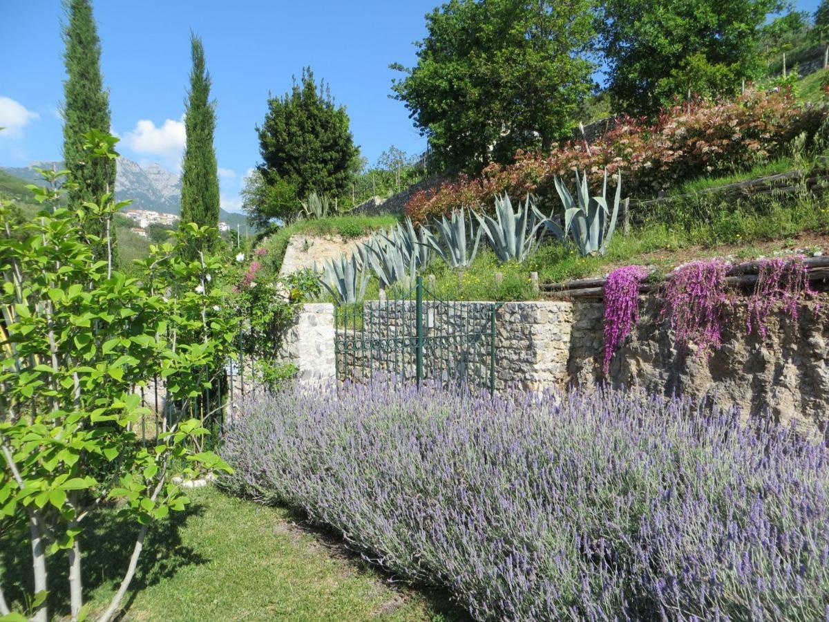 Ancient Estate "Il Trignano" Villa Vietri Eksteriør bilde