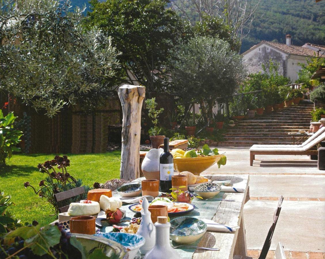 Ancient Estate "Il Trignano" Villa Vietri Eksteriør bilde